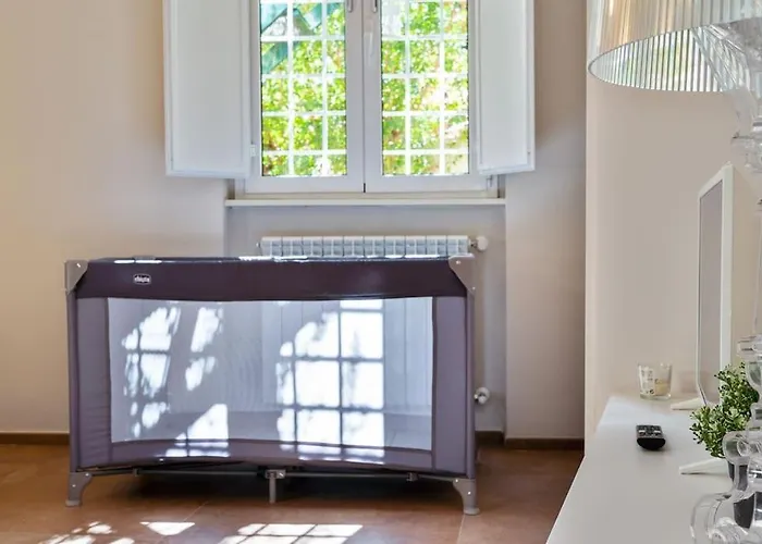 Garage-netflix-wifi Garden
